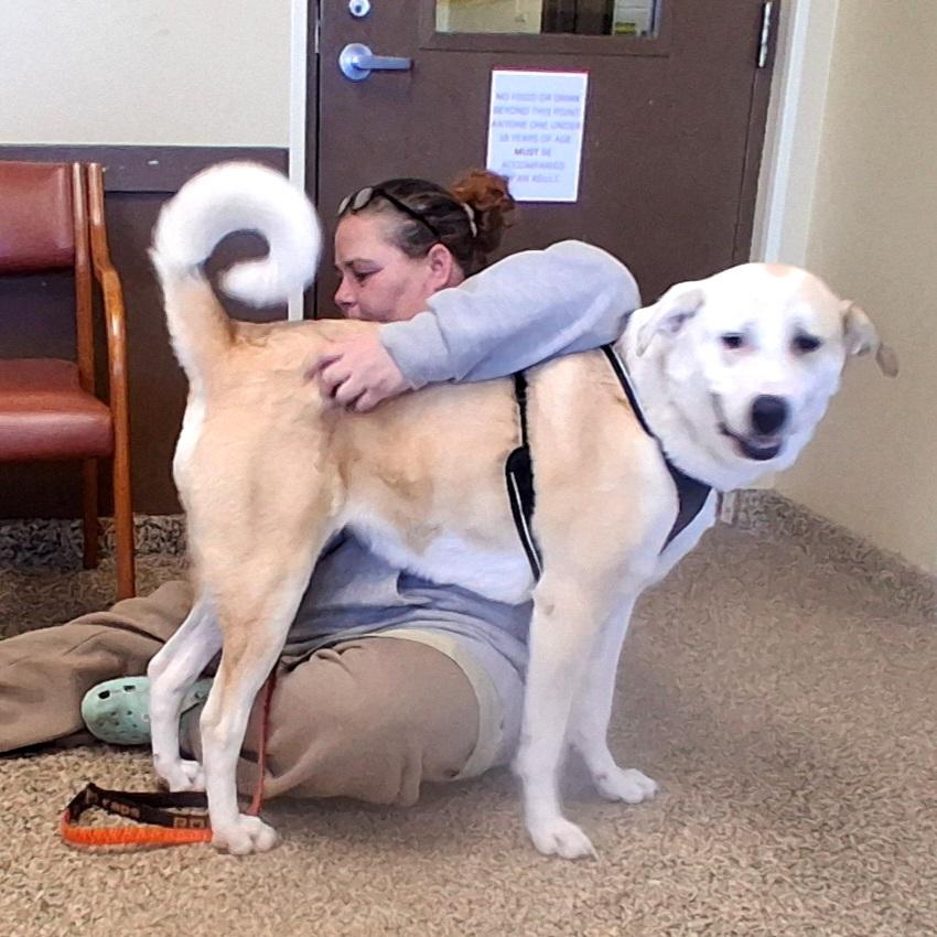 Gretel **NO FEE** (Sponsored by Hawkins Chevrolet) , a Adoptable mixed breed in Fairmont, MN image 2/6