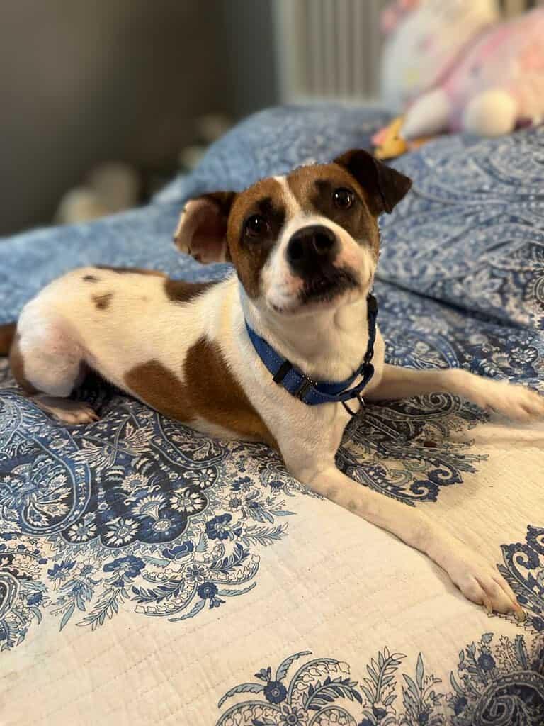 Mona Lisa thumbnail 4