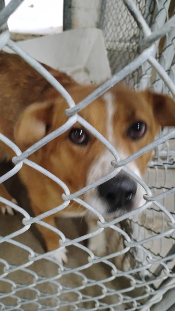 Little Bear thumbnail 3