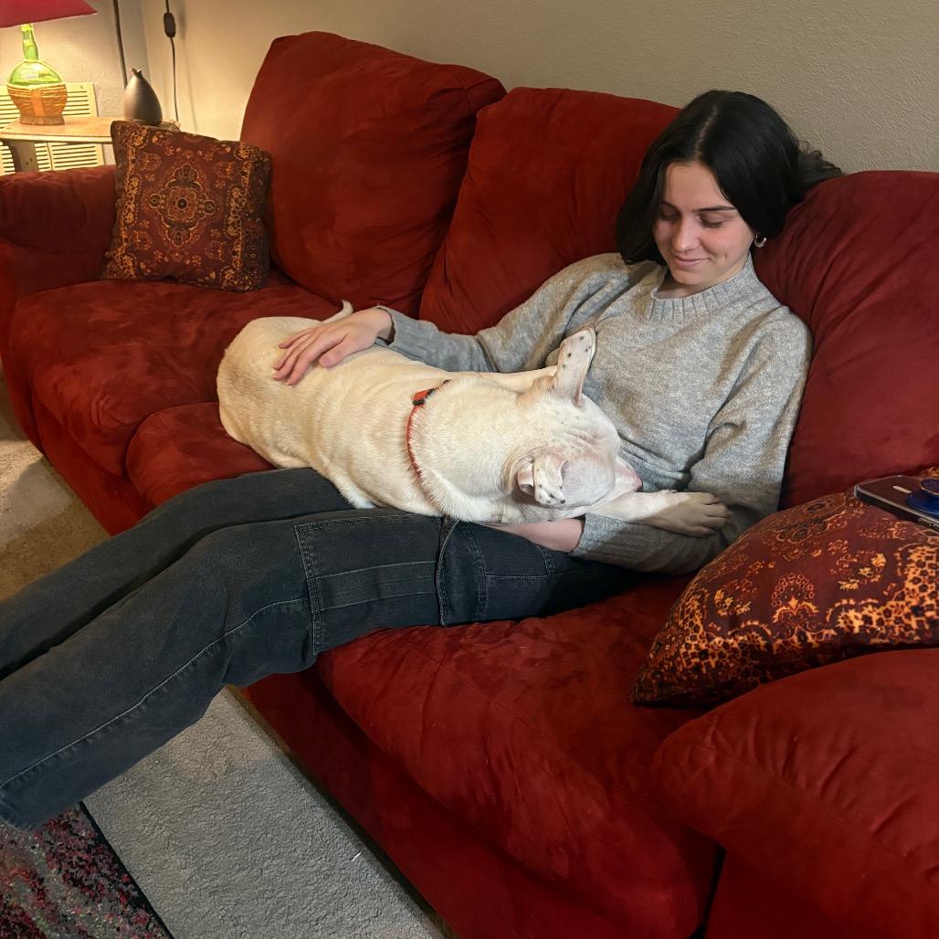 Enlarge Diesel, a Adoptable Pit Bull Terrier in Newark, NJ image 2/6