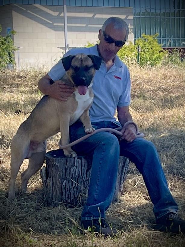 Enlarge Bubba, a ADOPTABLE mixed breed in San Andreas, CA image 5/6