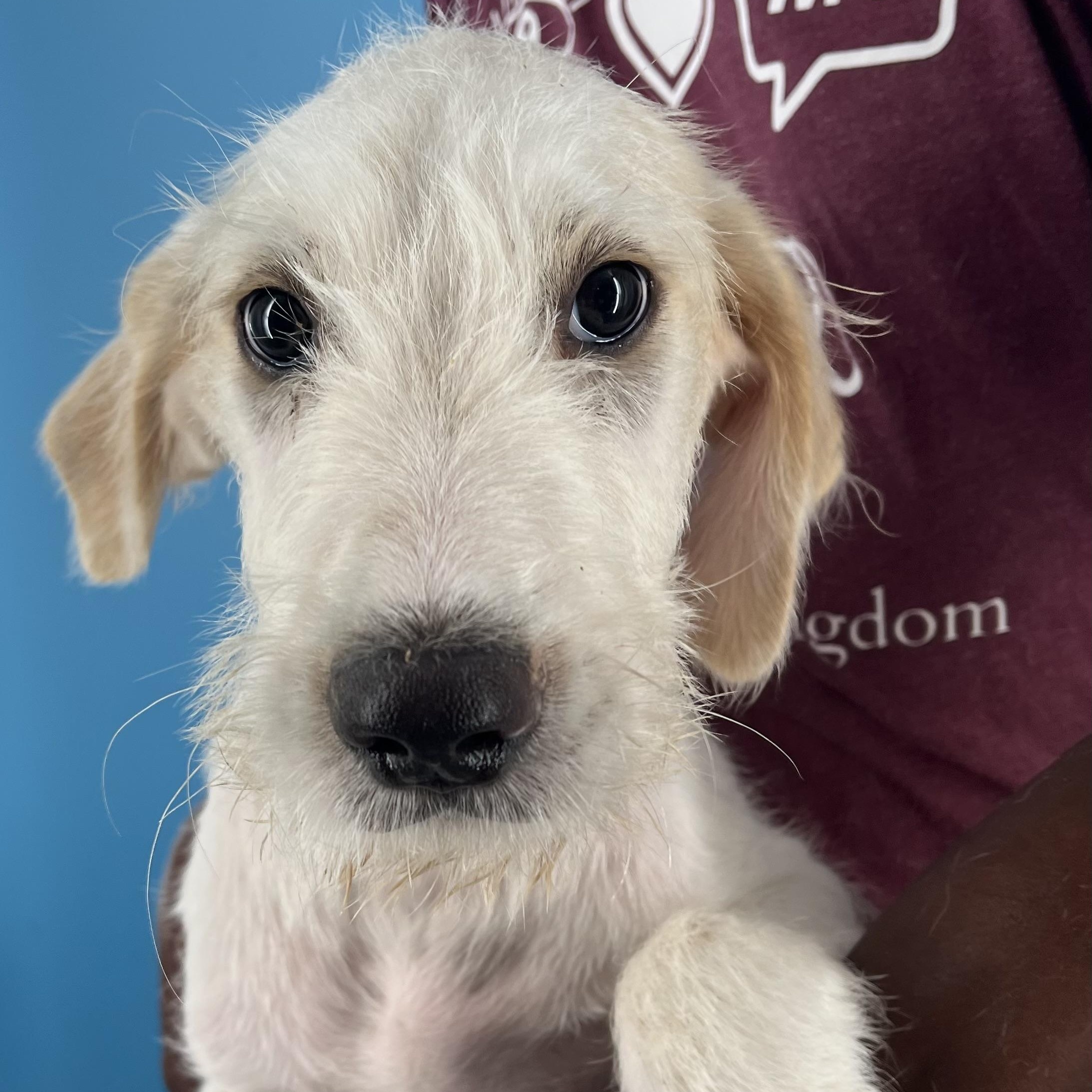 Raylee - Local August 22-24, Baby Male unknown