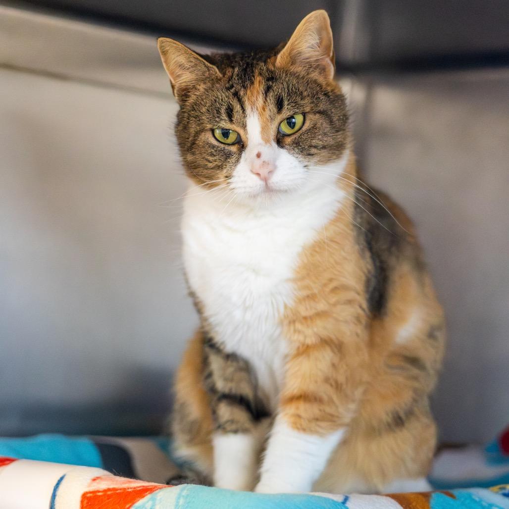 Lady Bug — thumbnail 2