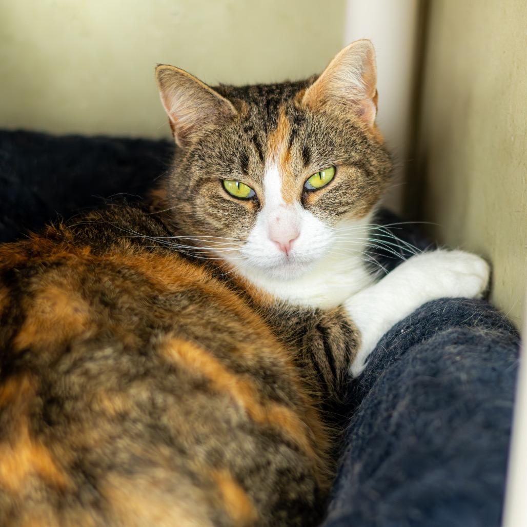 Lady Bug — thumbnail 5