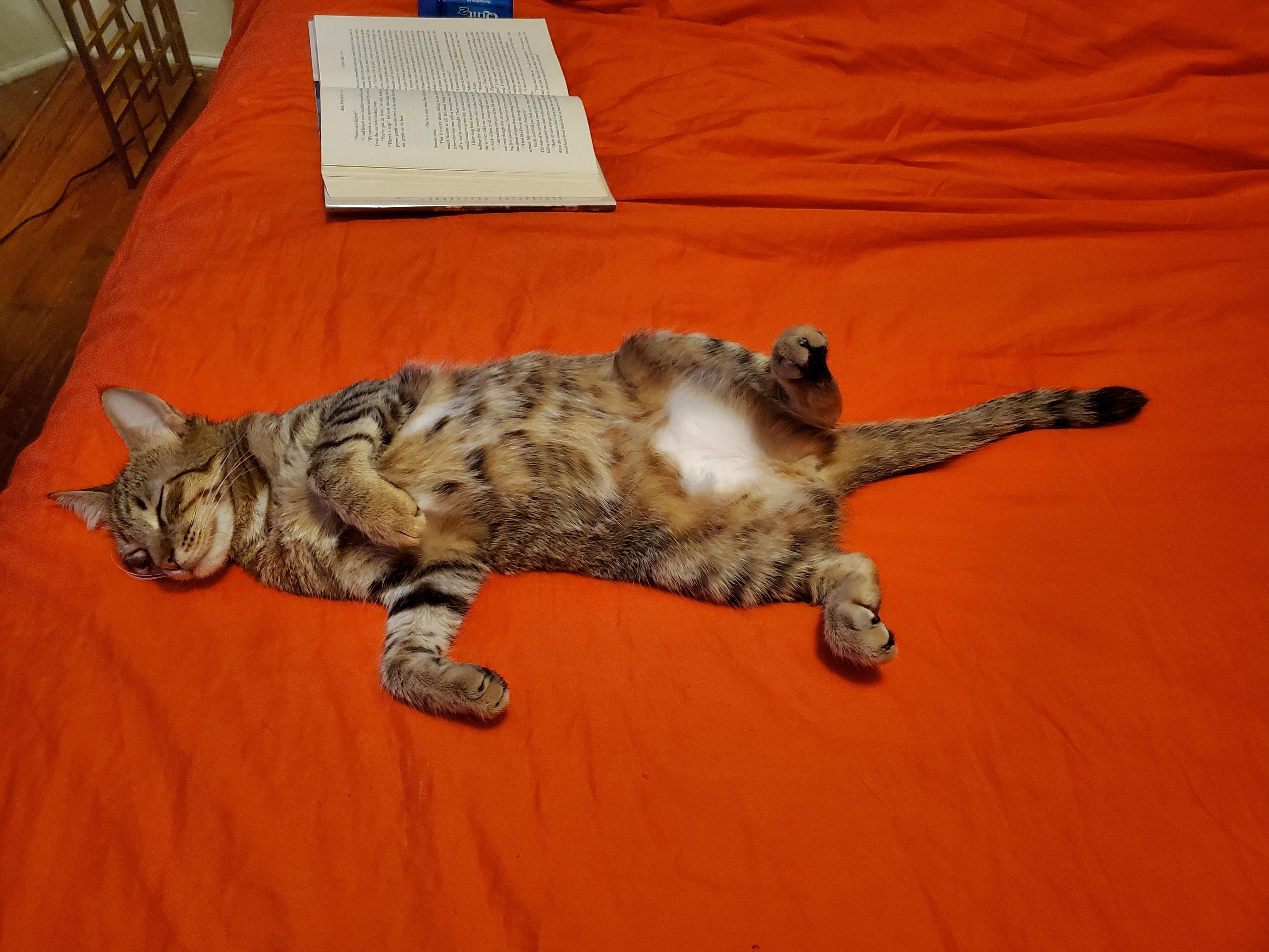 Tabitha photo 2