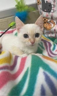 Nicole — thumbnail 2