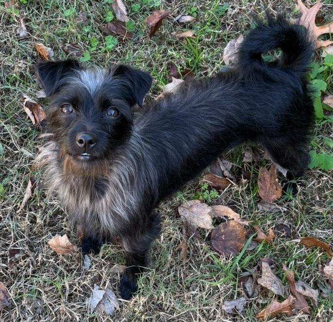 Andi — thumbnail 2