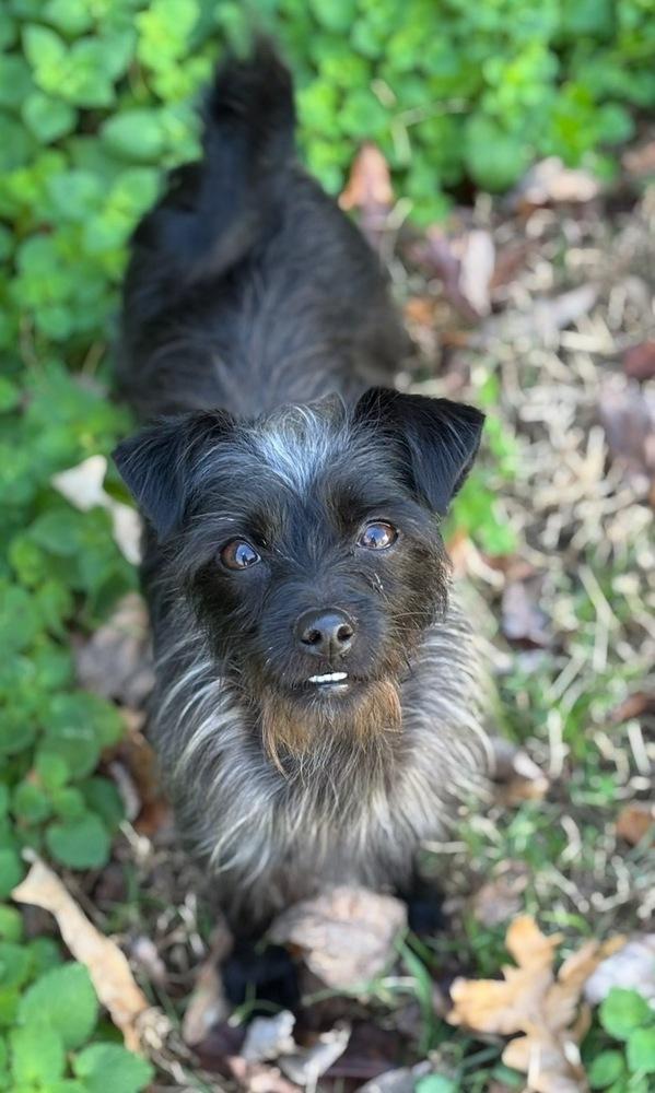 Andi — thumbnail 4