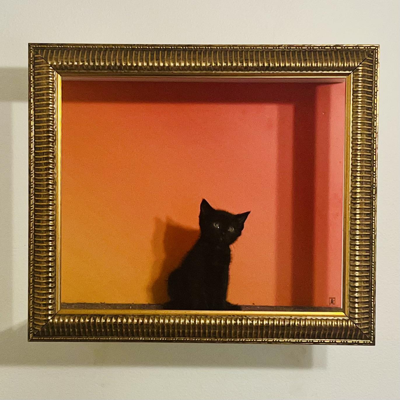 Spark, an adopted Bombay in Santa Clarita, CA image 1/3