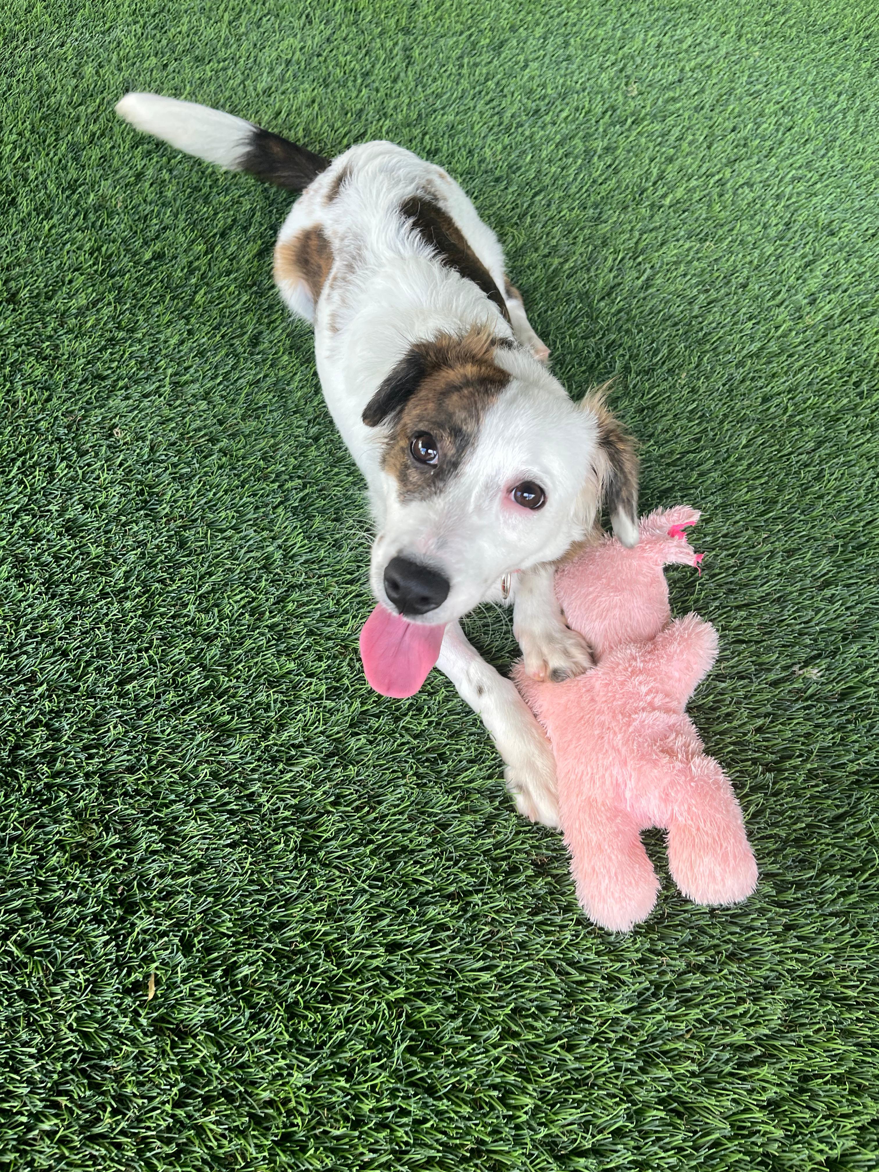 Marjorie thumbnail 2