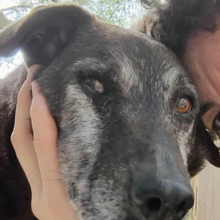 Blackey VI — thumbnail 4