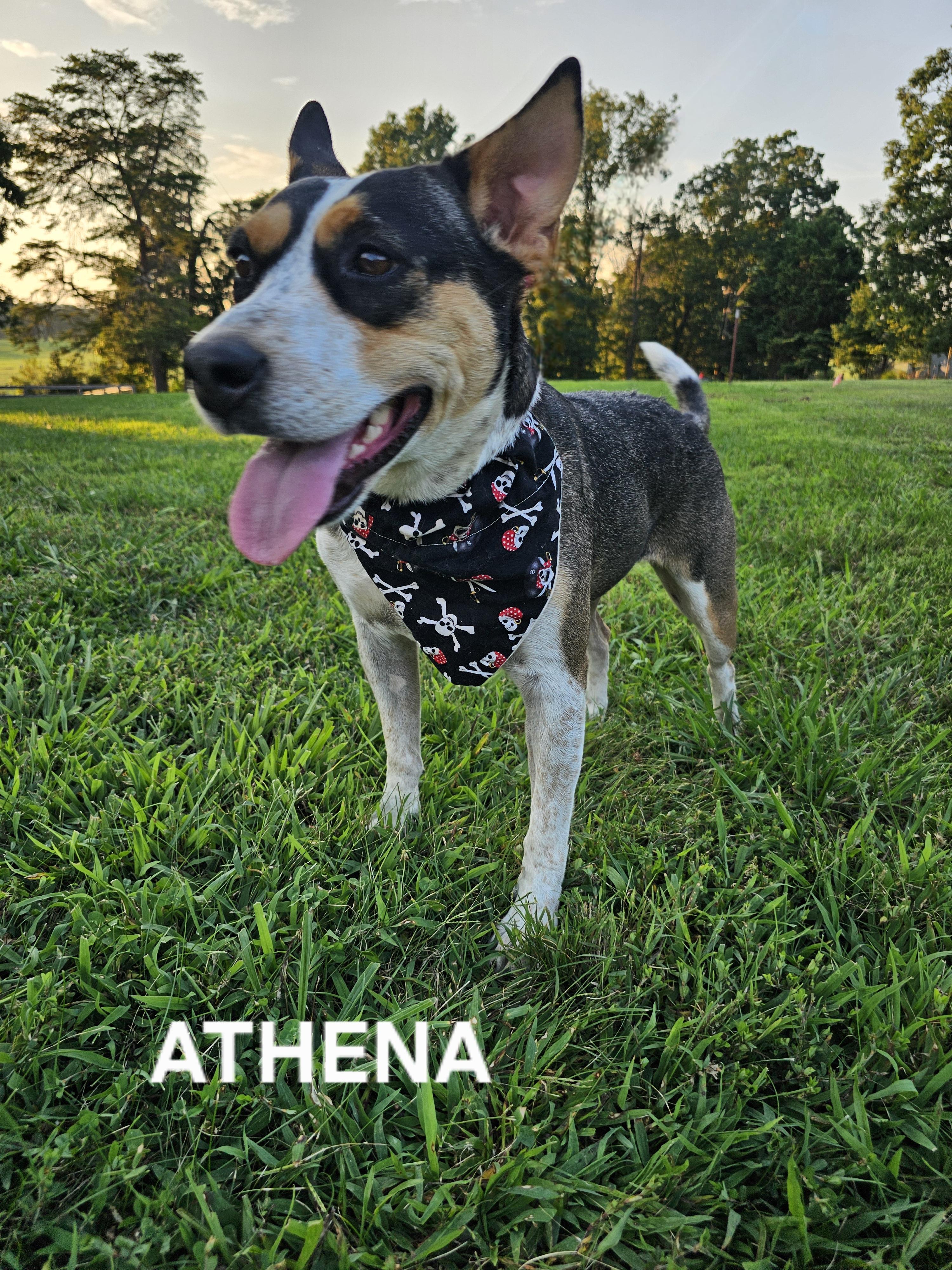 Athena