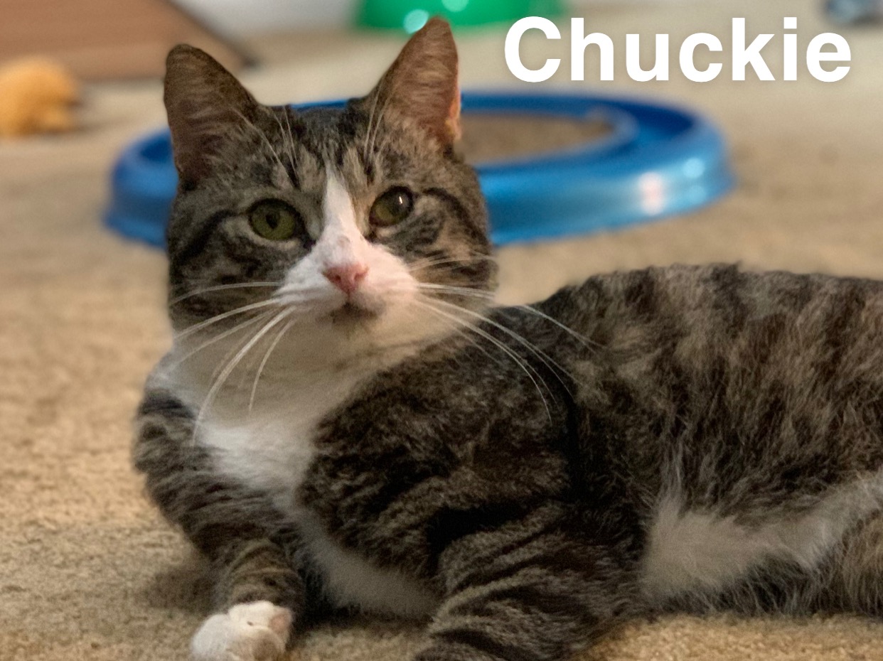 Chuckie