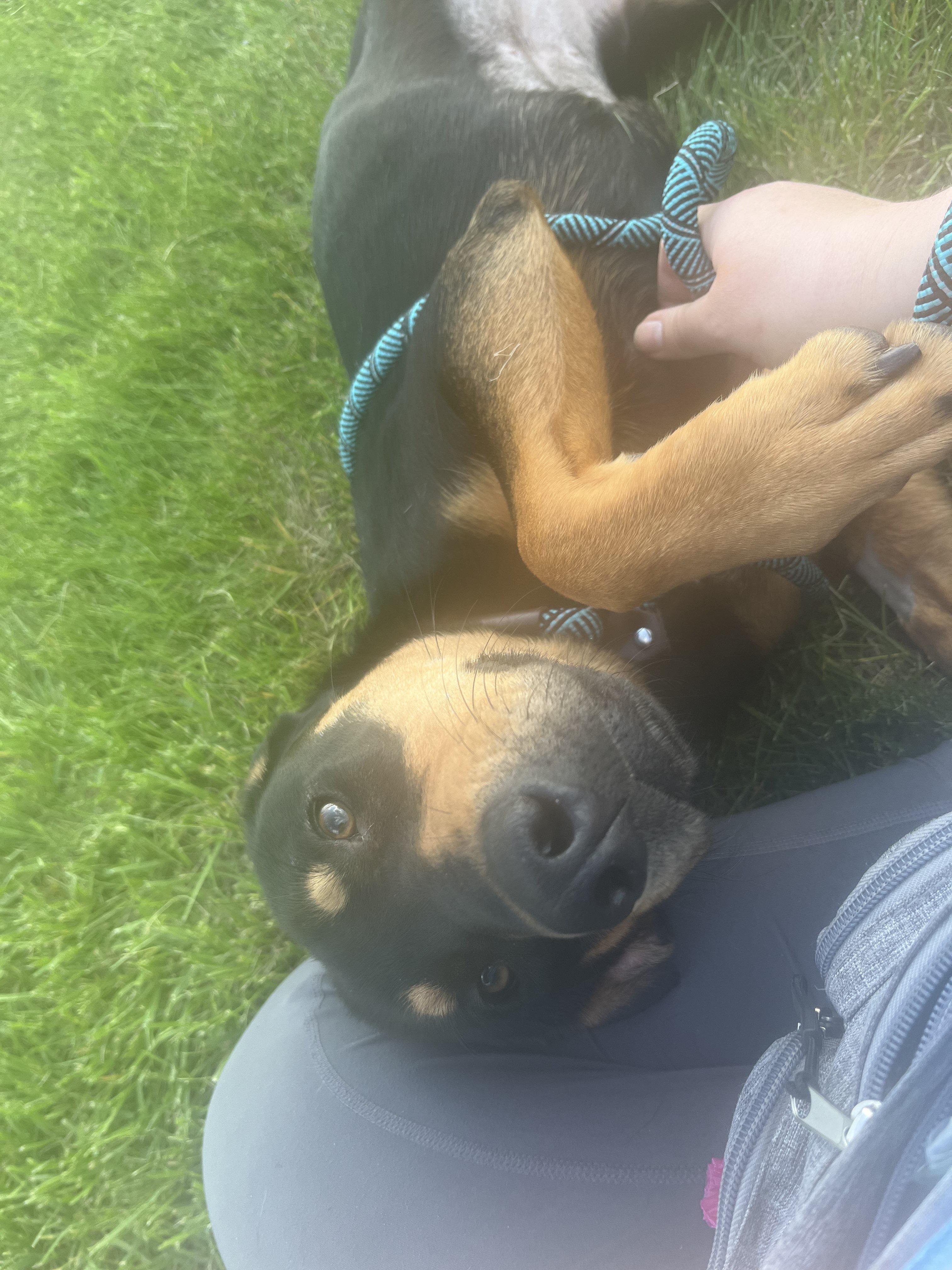 Charlene thumbnail 3