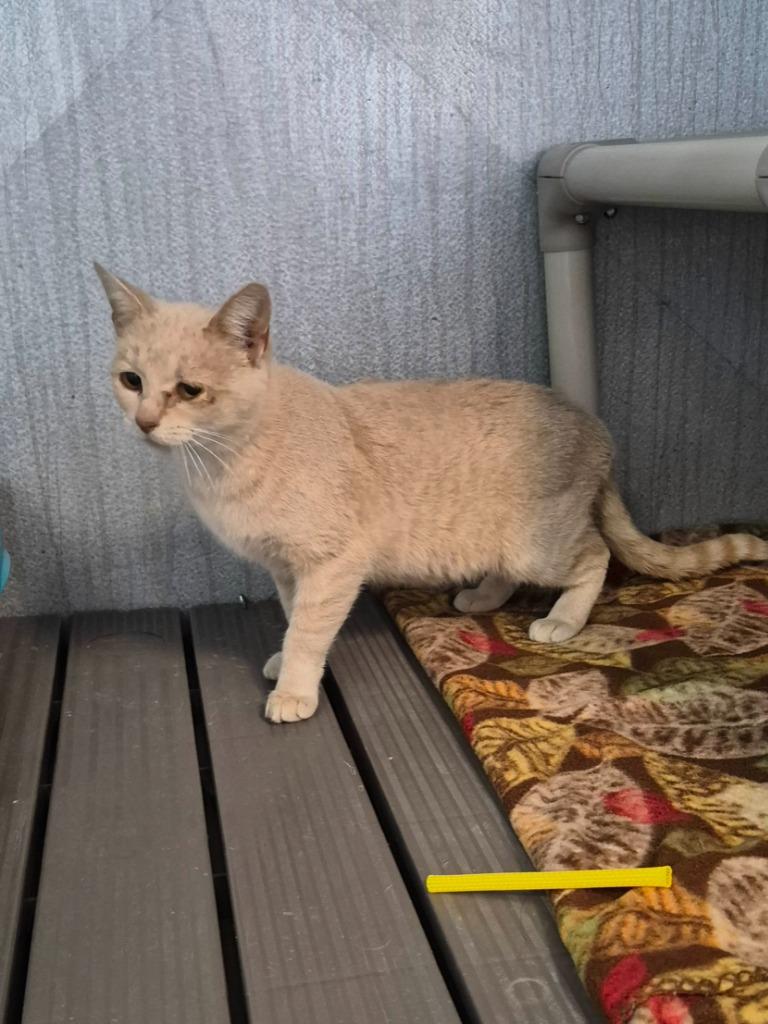 Tiberius photo