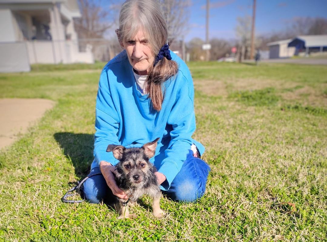Enlarge Murray, a ADOPTABLE mixed breed in Sulphur, OK image 1/3