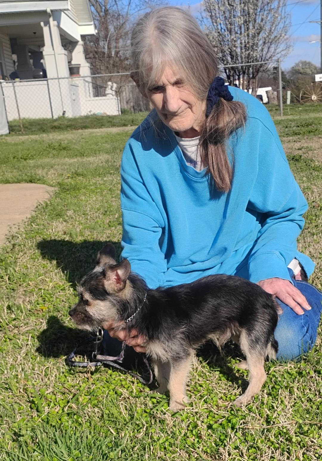 Enlarge Murray, a ADOPTABLE mixed breed in Sulphur, OK image 2/3