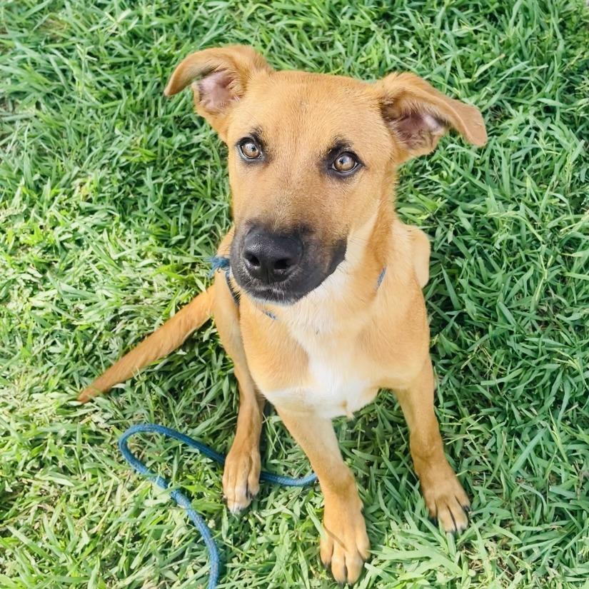 Frank — thumbnail 3