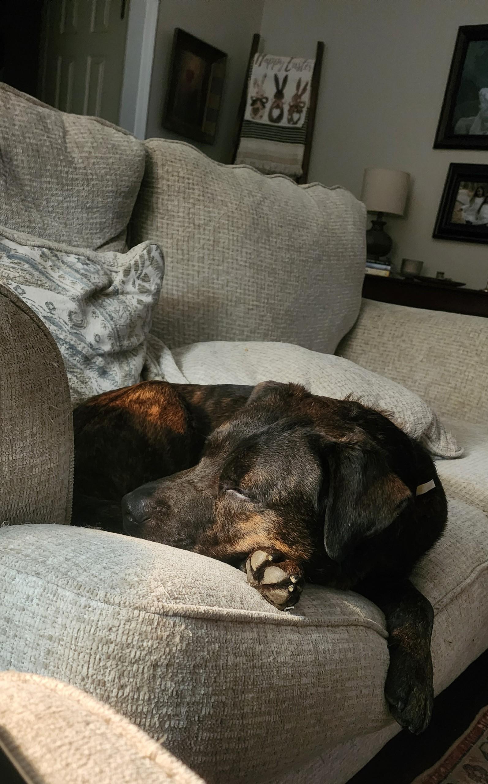 Jake photo 3