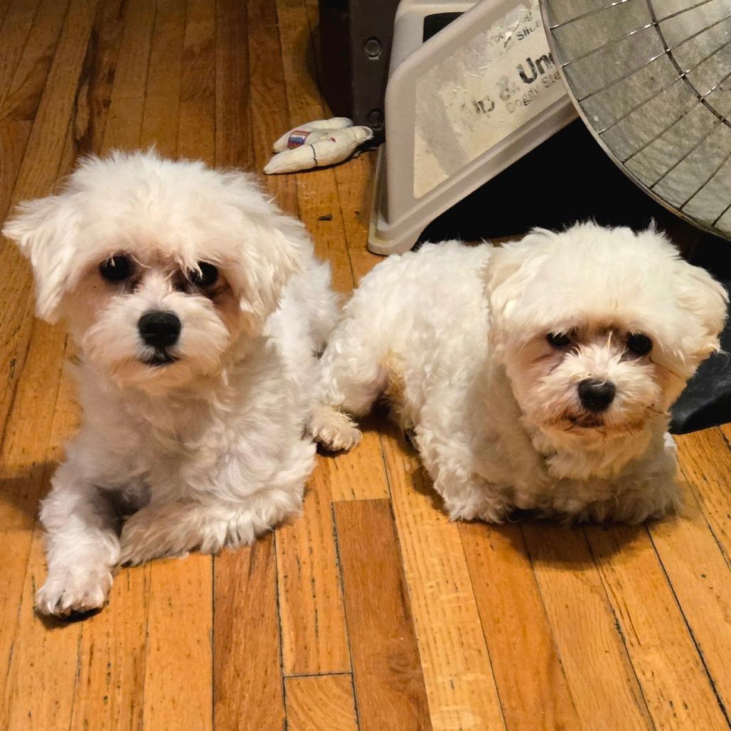 Edwin — thumbnail 4