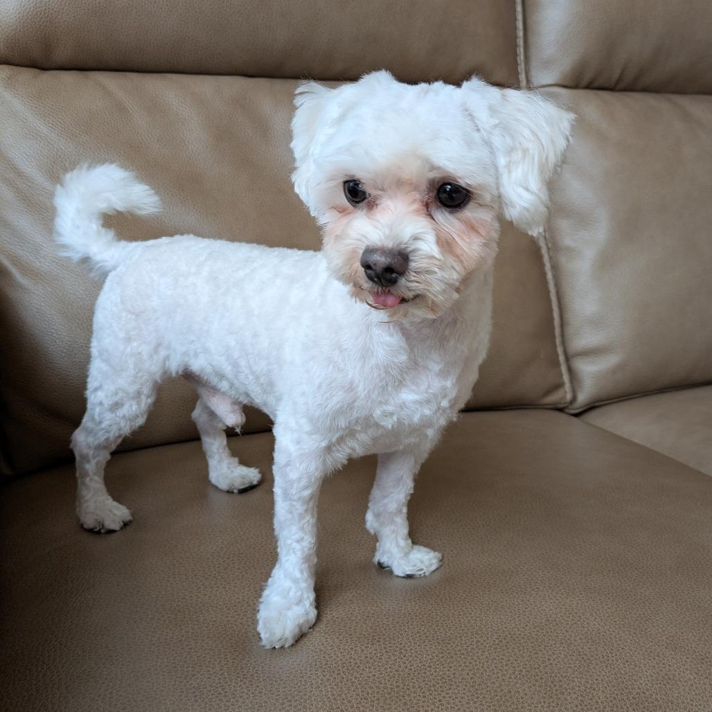 Edwin — thumbnail 5