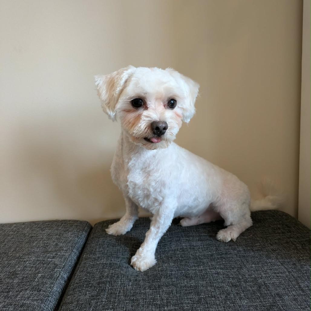 Edwin — thumbnail 6