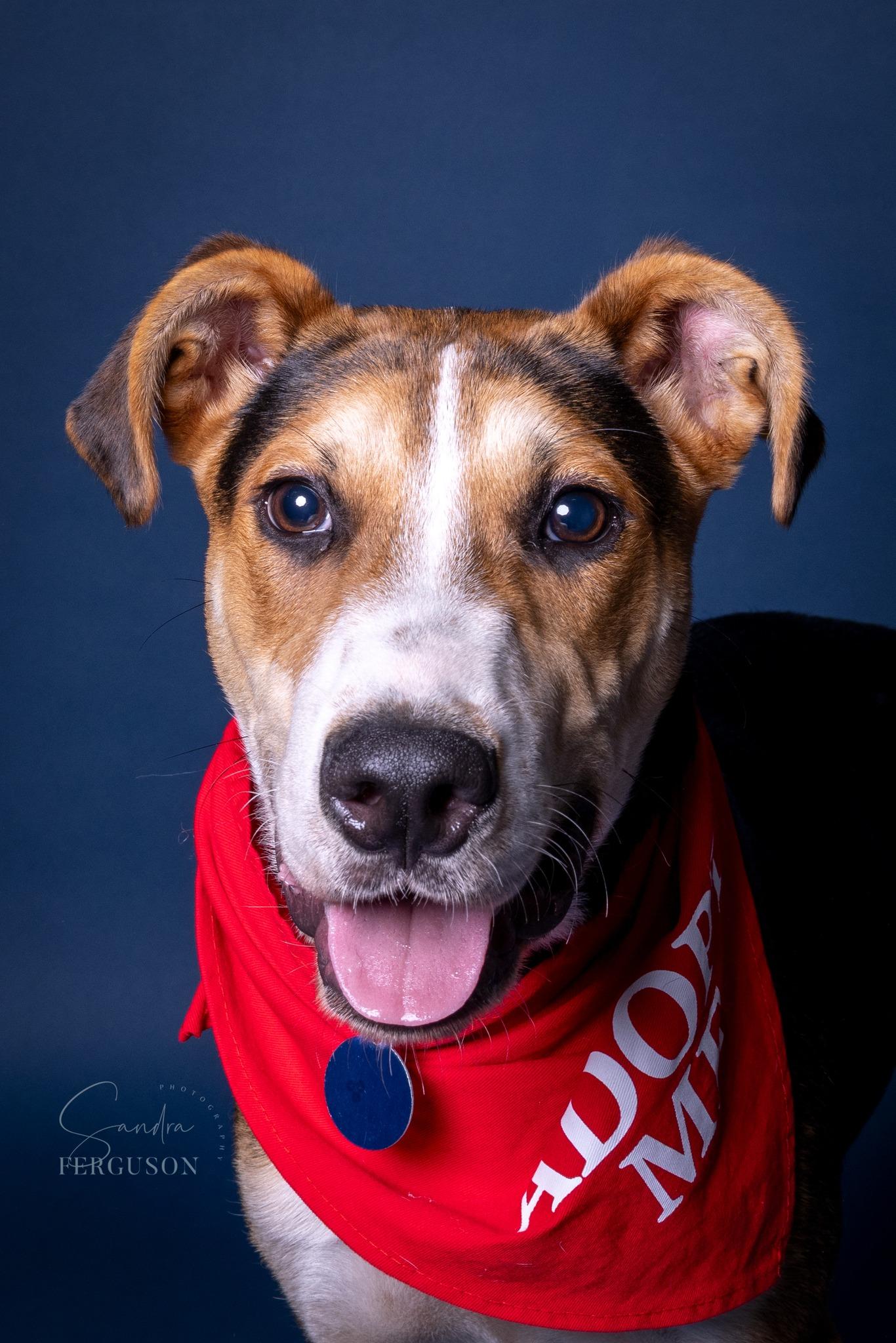 Brewster thumbnail 2