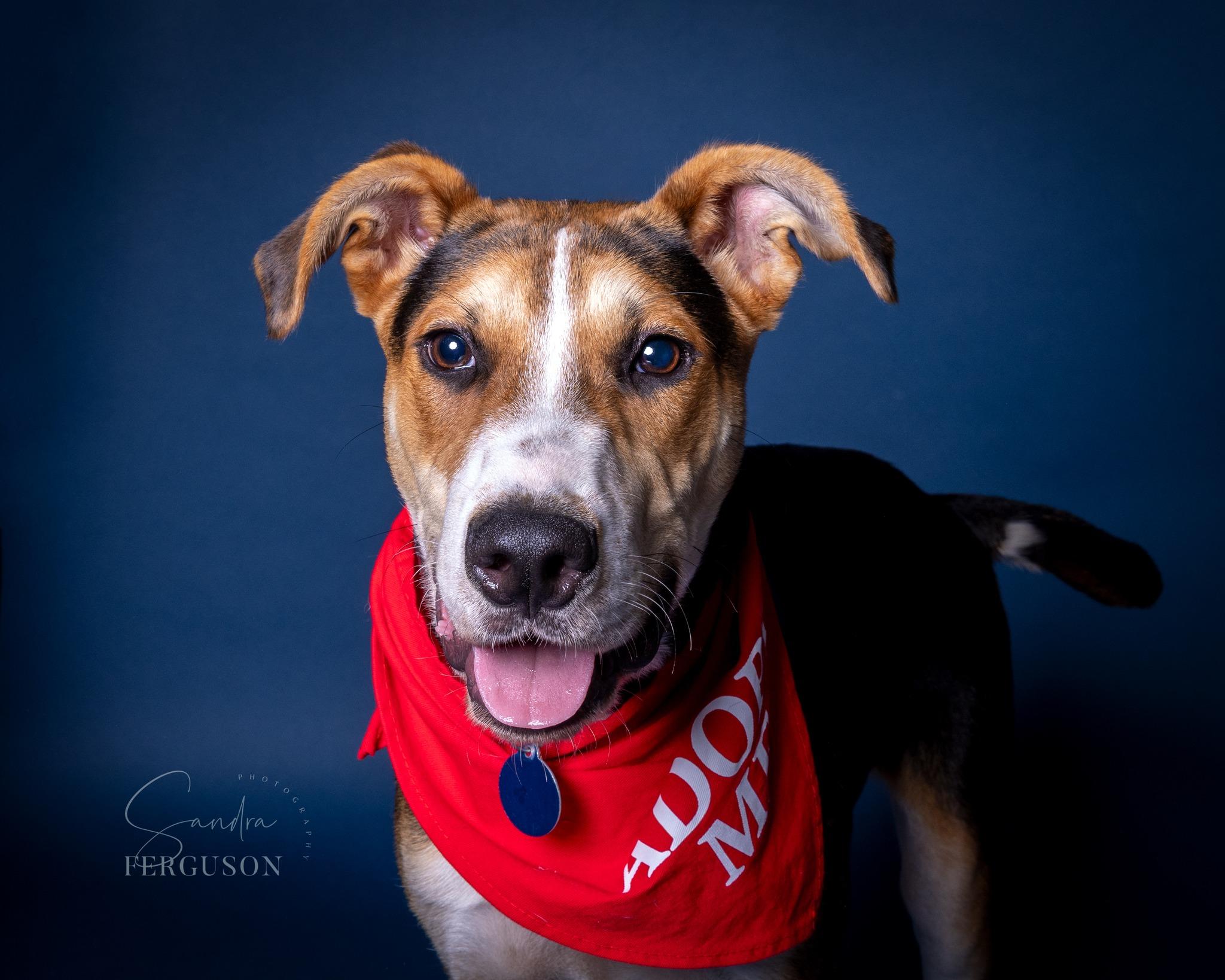 Brewster thumbnail 4