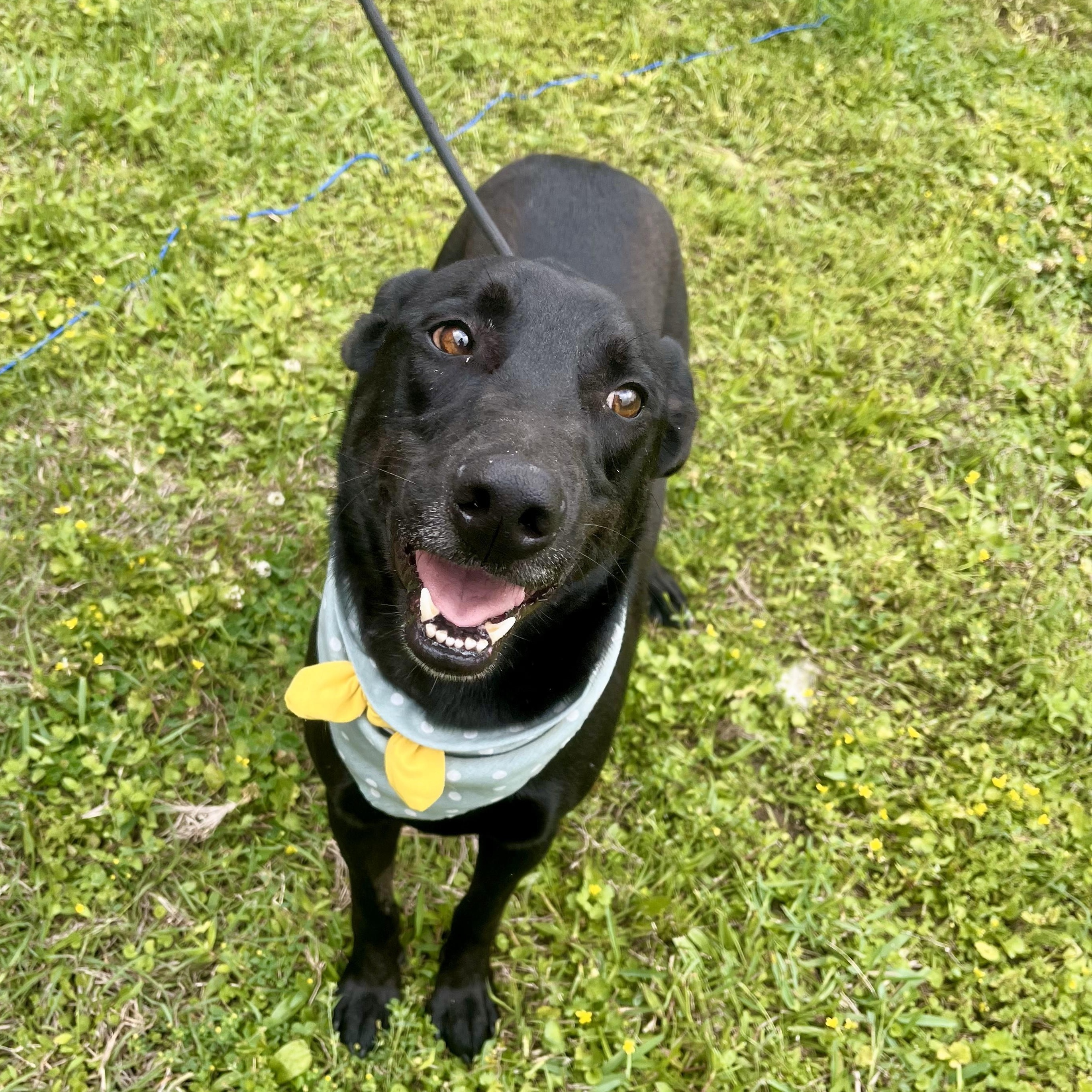 Rigatoni — thumbnail 6