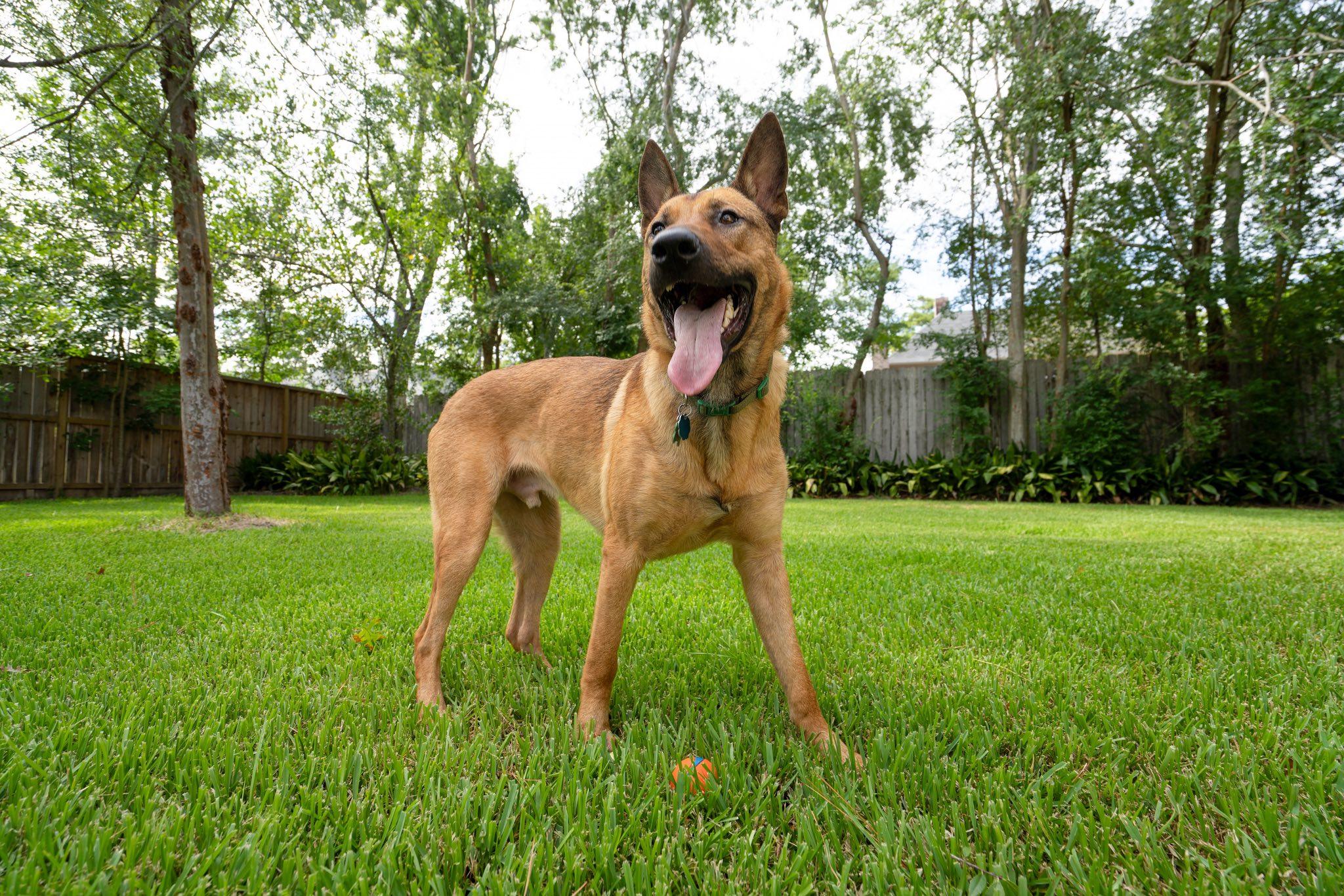 Duke