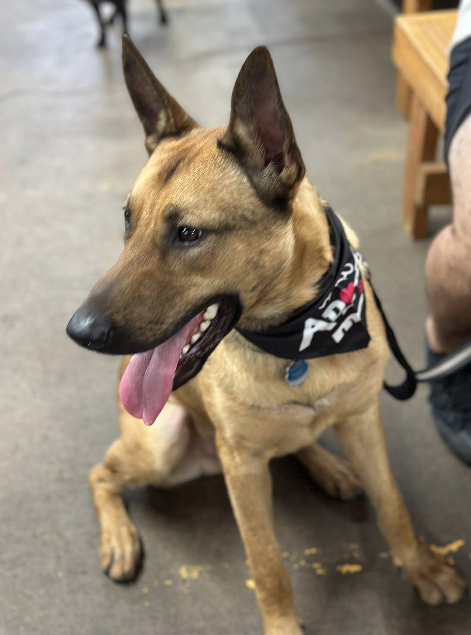 Duke