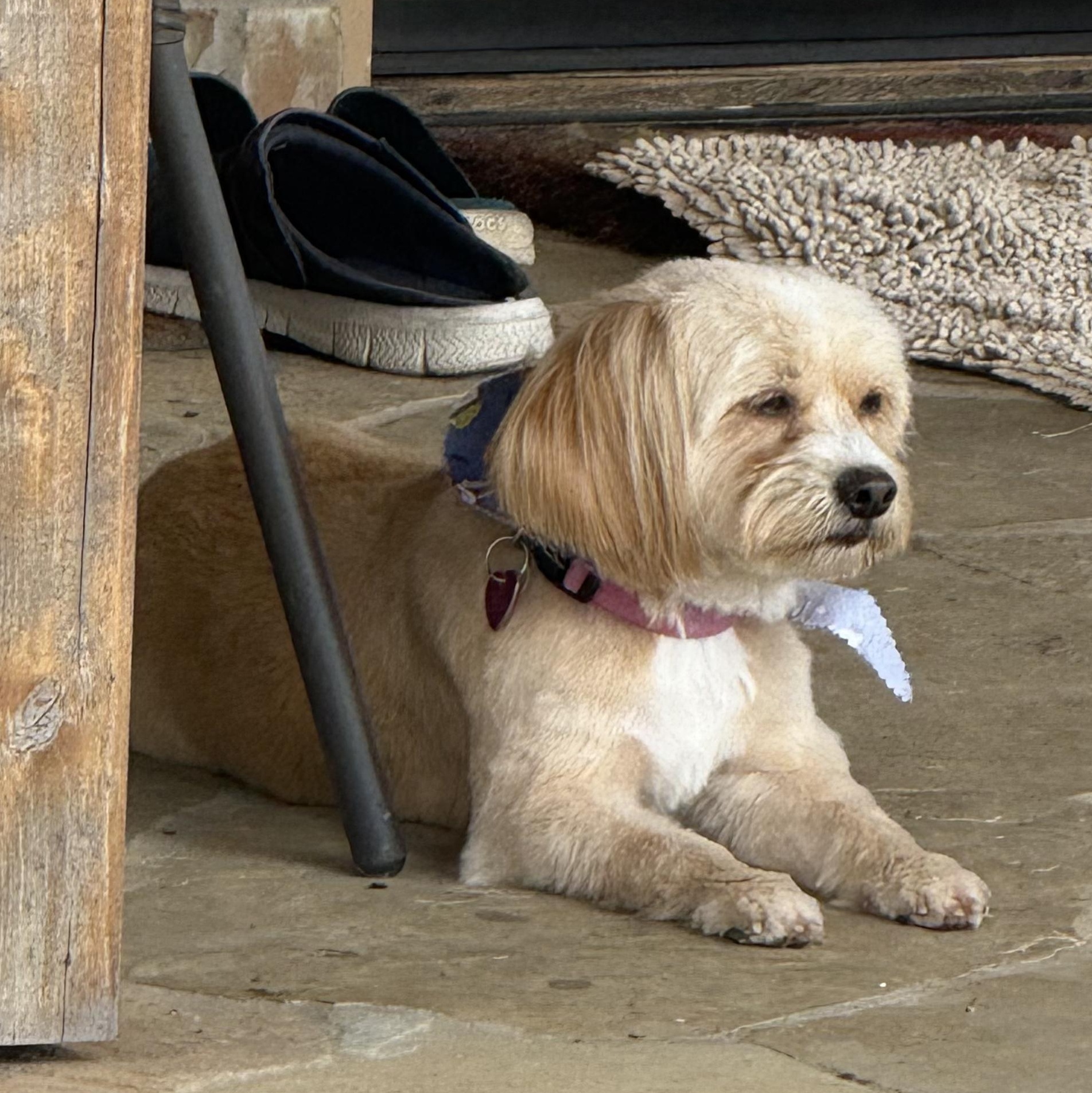 Lonabella Turner thumbnail 2