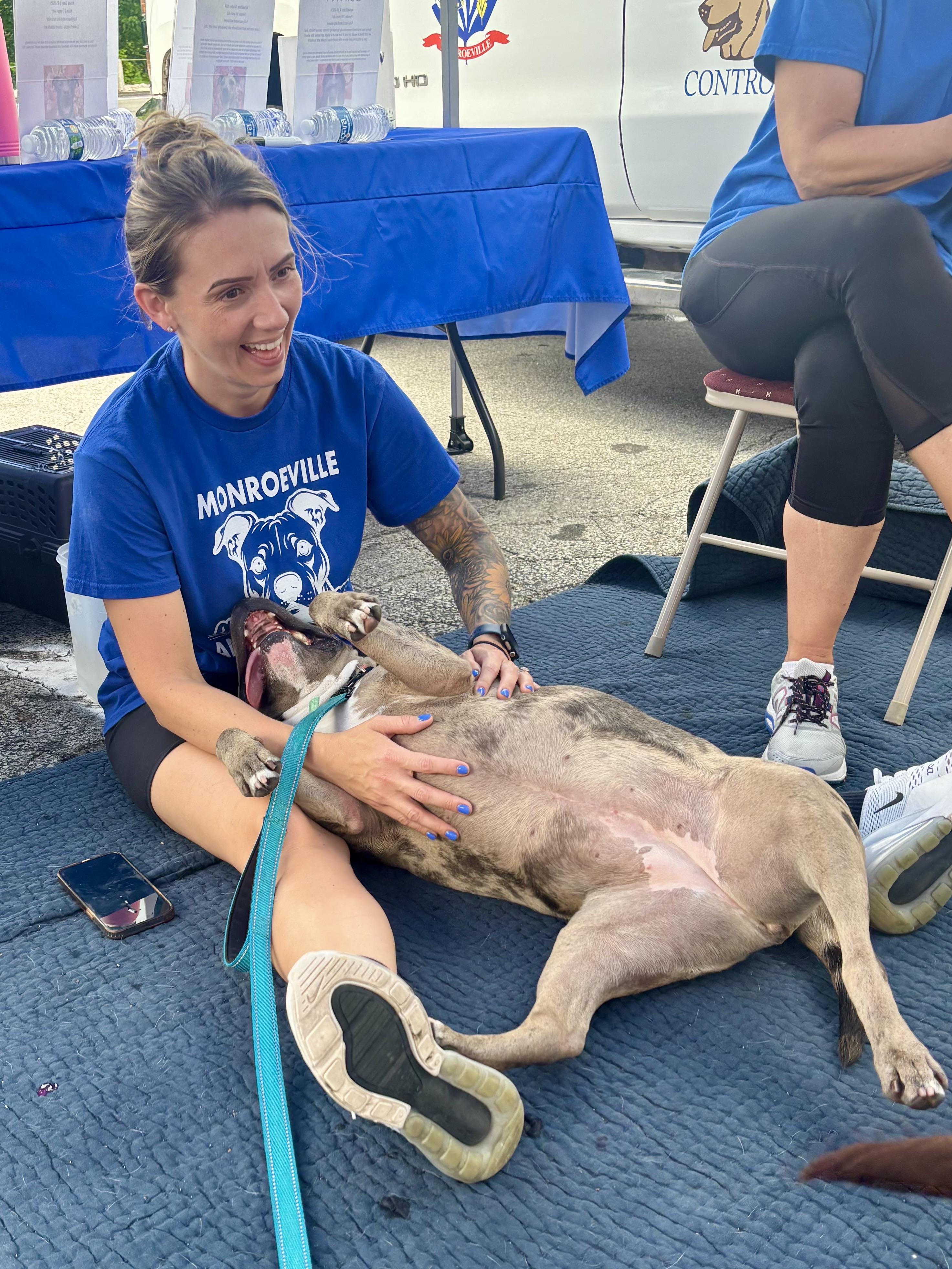 Turner, a ADOPTABLE Pit Bull Terrier in Monroeville, PA image 2/5