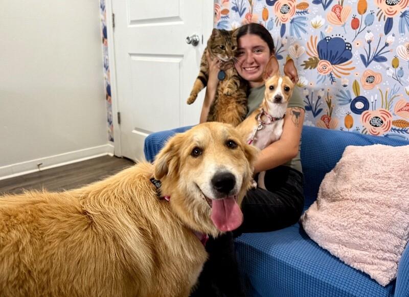 Rapunzel The Perfect Princess — thumbnail 2