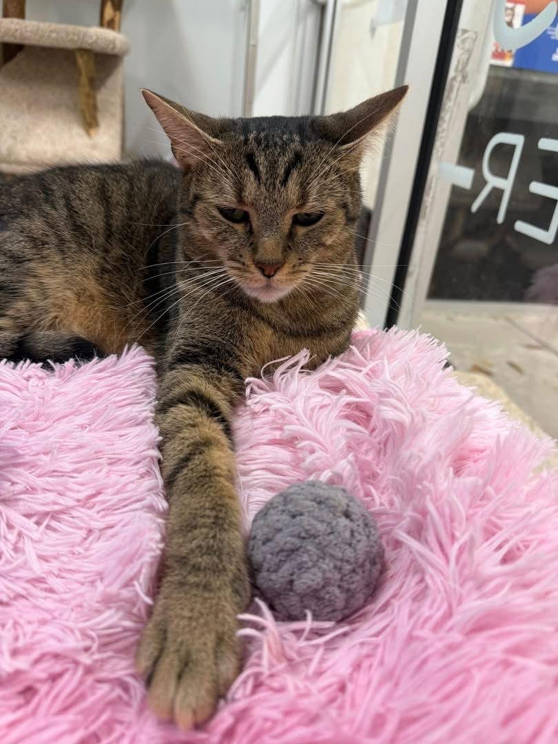 Metro  Kbc thumbnail 2