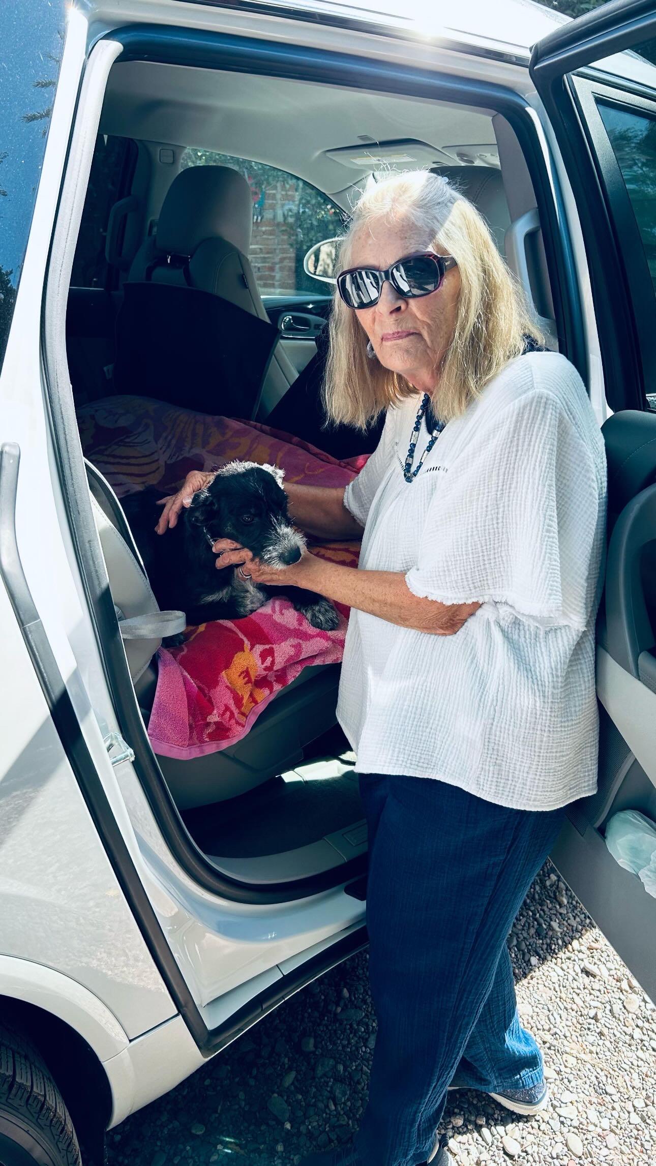 Enlarge Estella, an adopted mixed breed in North Hollywood, CA image 3/5