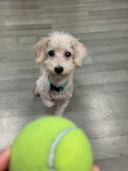 Carl — thumbnail 2