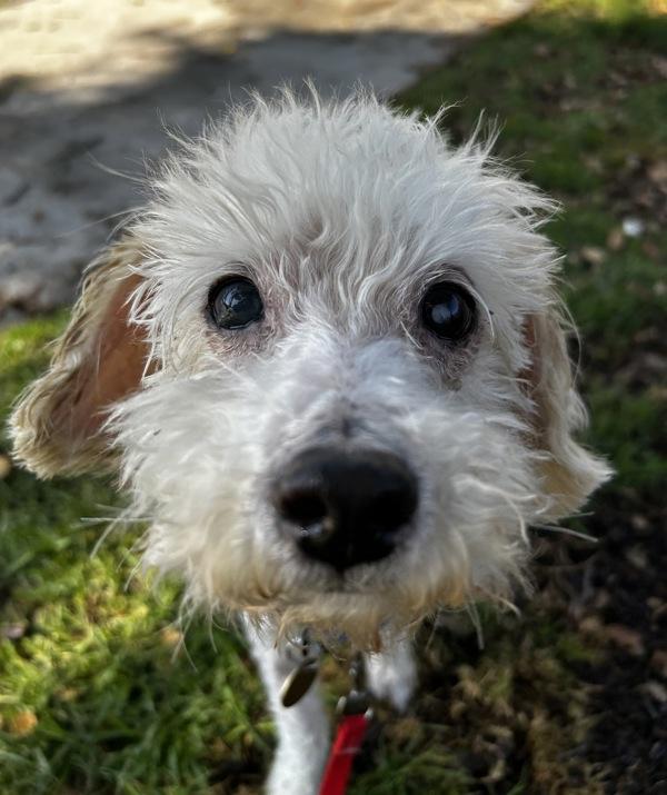 Carl — thumbnail 3