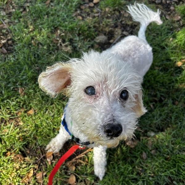 Carl — thumbnail 4