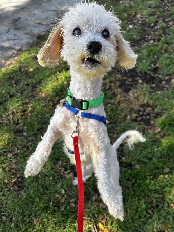 Carl — thumbnail 5