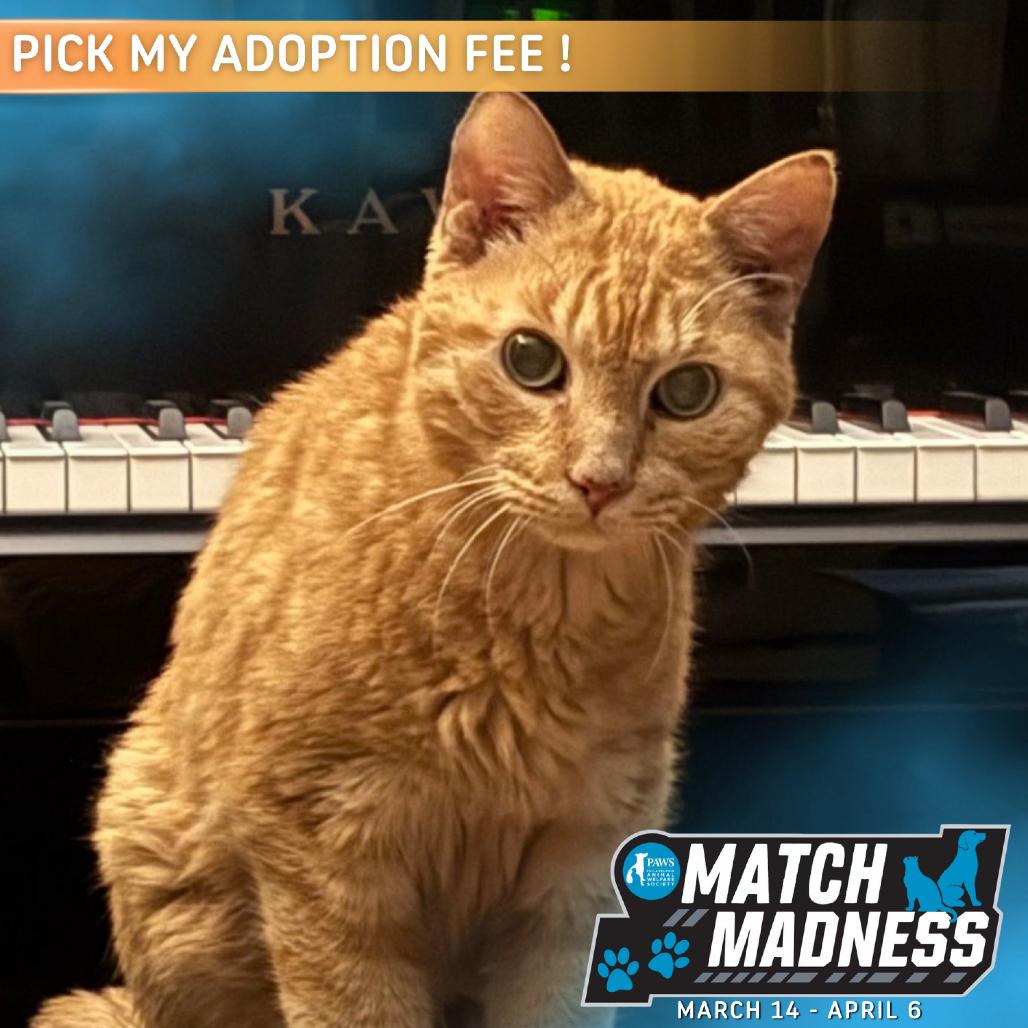 Pumpkin — thumbnail 2