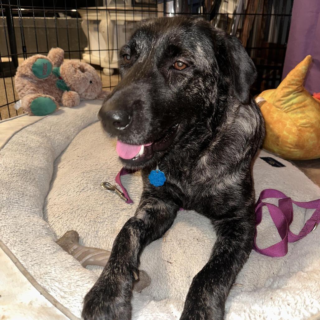 Midnight — thumbnail 2