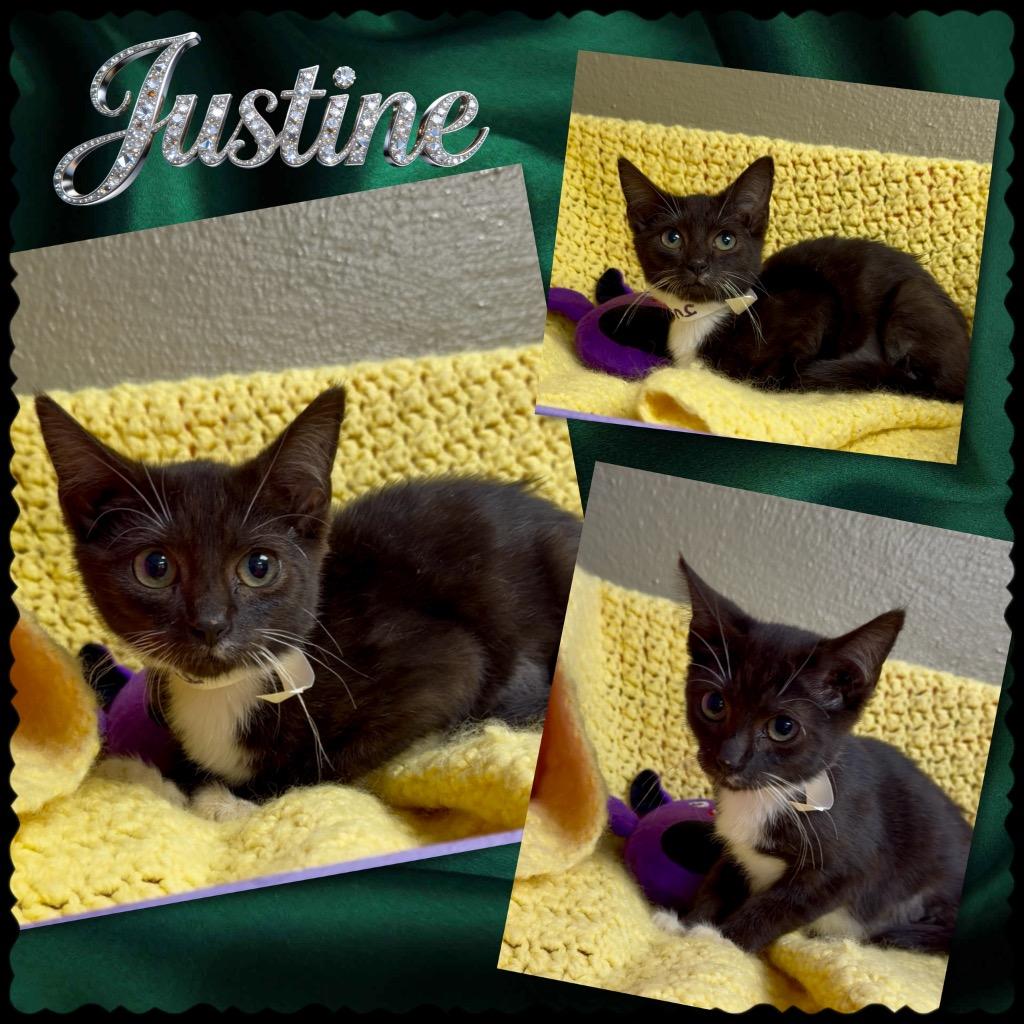 Justine photo
