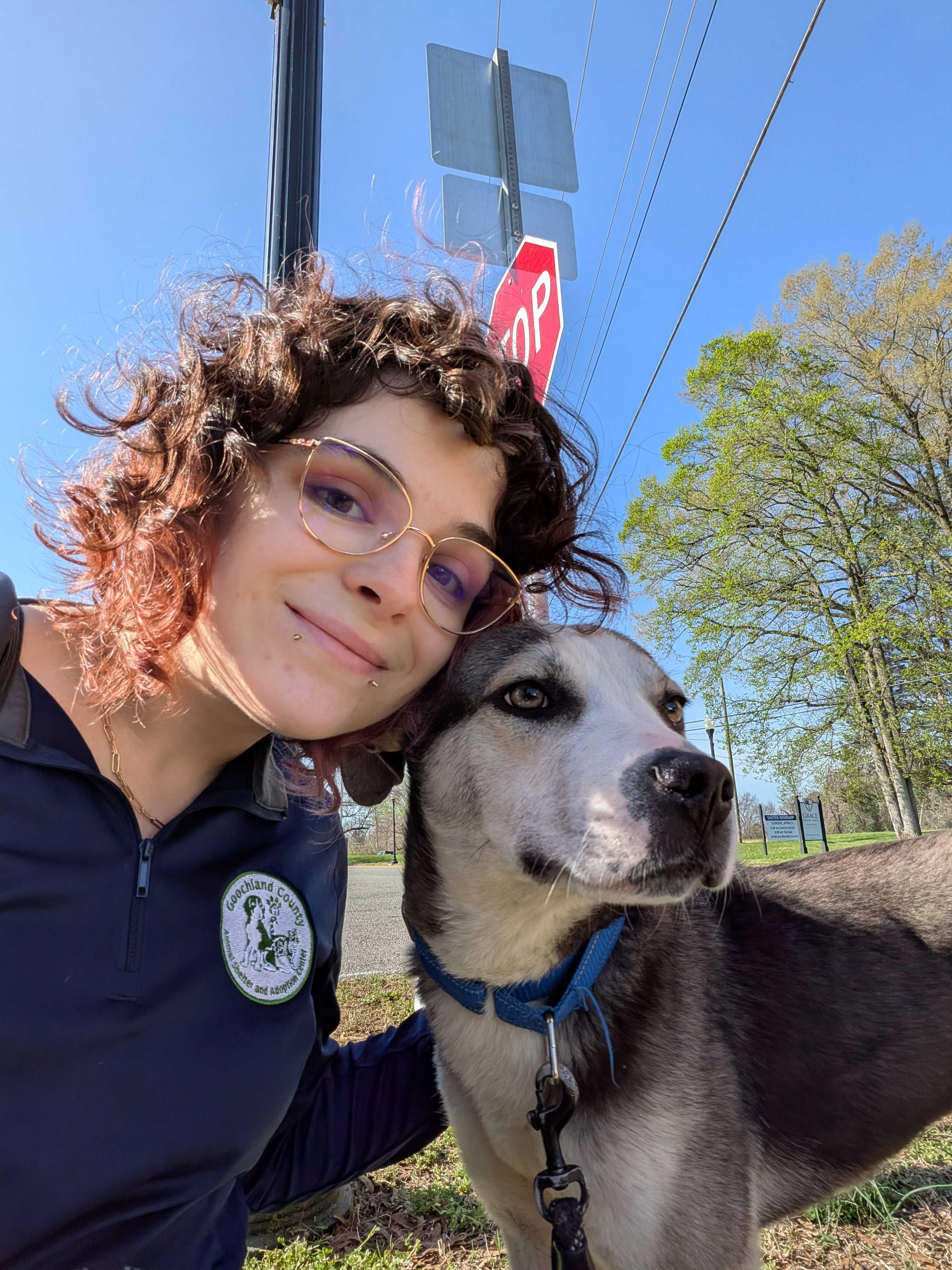 Enlarge Pablo, an adopted mixed breed in Maidens, VA image 4/4