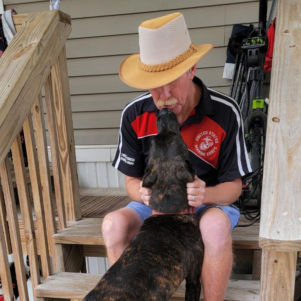 Enlarge Kota, a Adoptable Mixed Breed in Williston, FL image 5/6