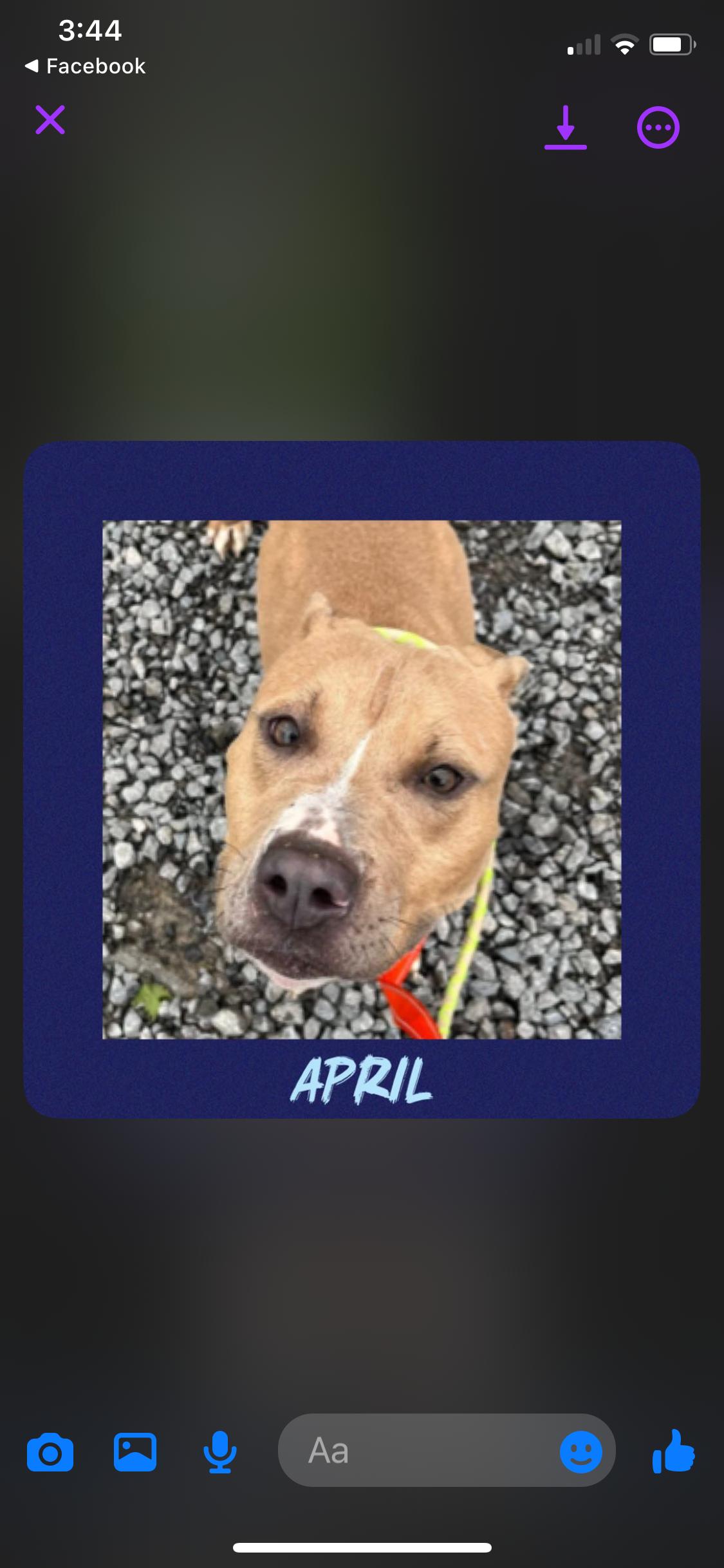 April