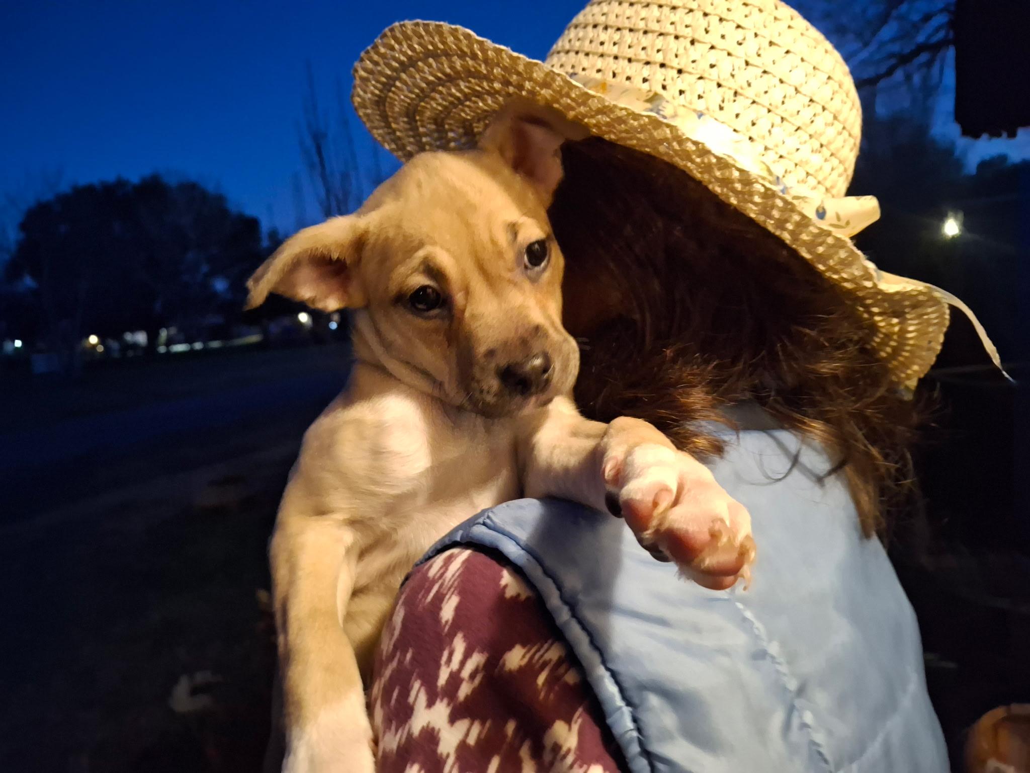 Copper — thumbnail 4