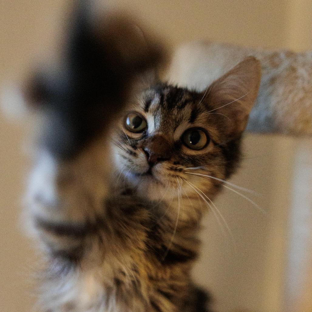 River — thumbnail 2