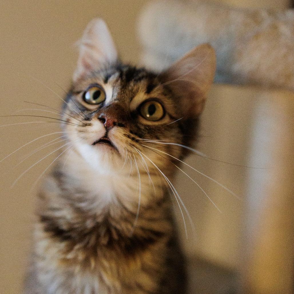 River — thumbnail 3