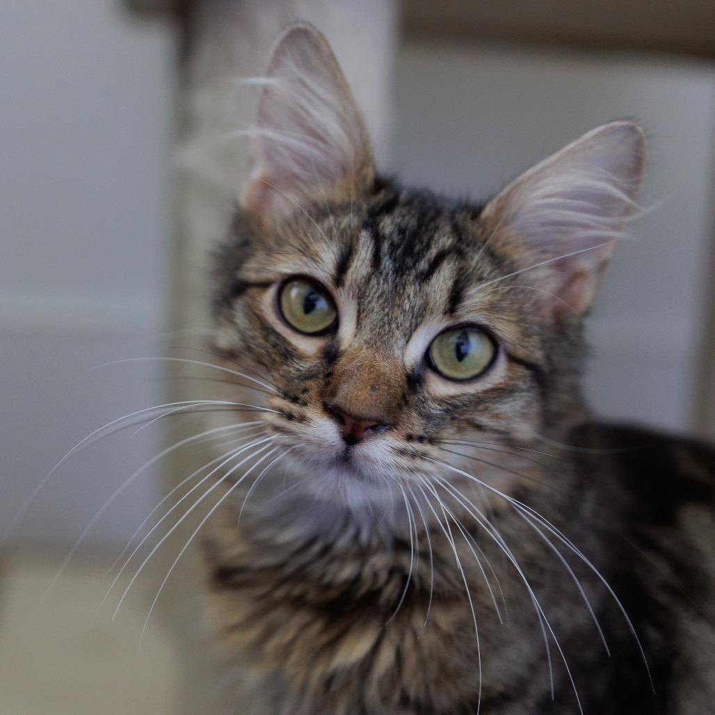 River — thumbnail 4